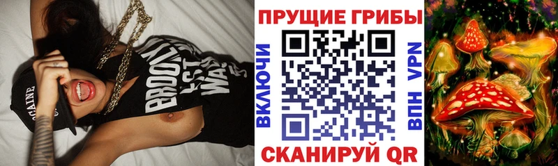 сколько стоит  Петухово  Псилоцибиновые грибы Magic Shrooms 